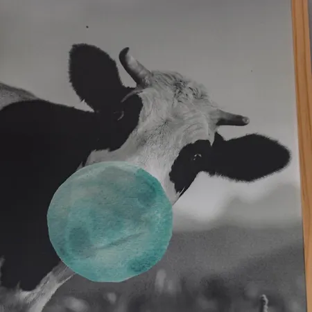 Happy Waves לאס פאלמס דה גראן קנאריה